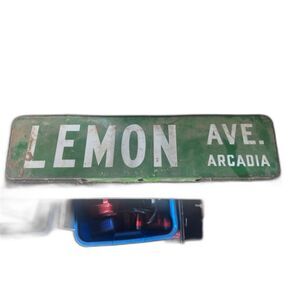 Vintage Lemon Ave. Arcadia Porcelain/Enamel Street Sign